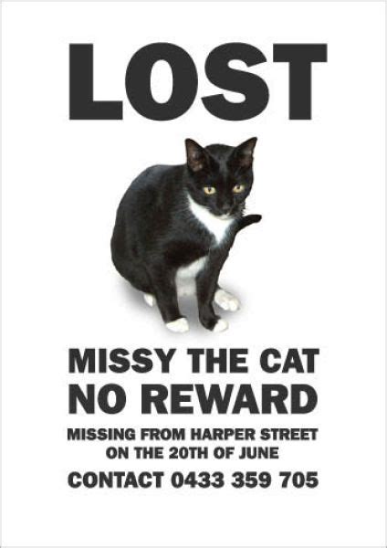 Hilarious Missing Cat Posters 19 Pics