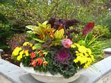 Fall Flowering Plants For Containers