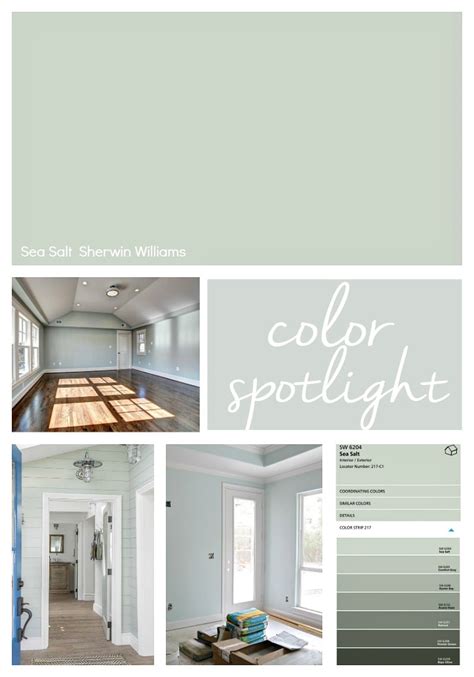 Sherwin Williams Sea Salt Color Review