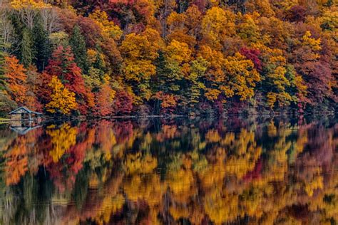 Reflections On A Fall Day