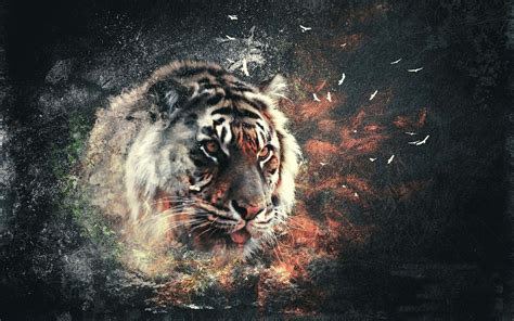 46 Abstract Tiger Wallpaper Wallpapersafari