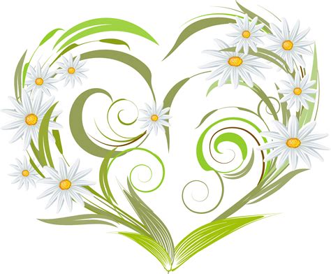 Png Free Cotton Flower Clipart Heart Vector Transparent Png Large