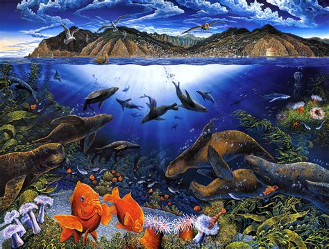 Marine Life Wallpaper Wallpapersafari
