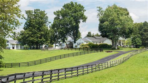 Johnny Depps Kentucky Horse Farm Failed To Sell At Auction