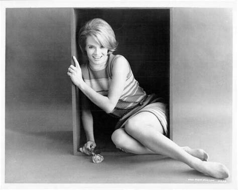 Angie Dickinson Original 8x10 Inch Photo Publicity Portrait For Point Blank Moviemarket