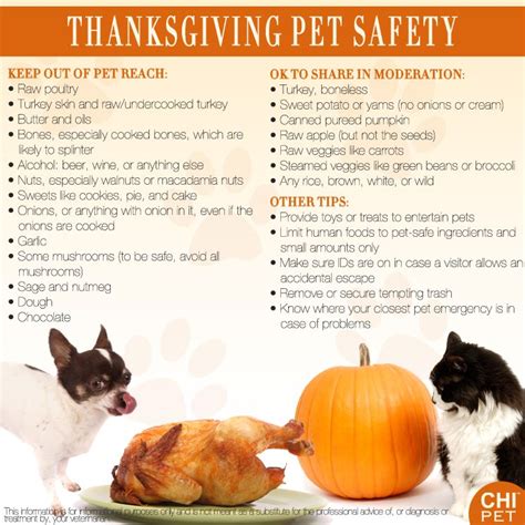 Tips For A Safe Thanksgiving With Pets Pet Tips For Dogs And Cats