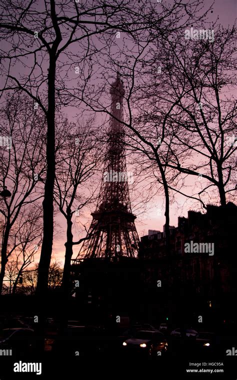 Eiffel Tower Through The Trees Stock Photo Alamy