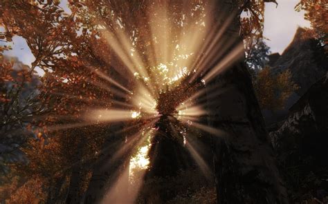 The Trees At Skyrim Nexus Mods And Community