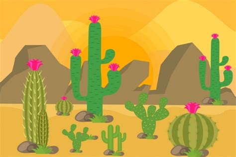 Desert Landscape Drawing Cactus Rock Icons Colored Cartoon Free Vector