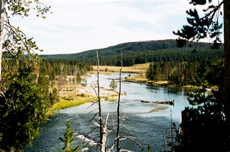 Shoshone national forest along chief joseph scenic byway. Harley Honeymoon: Yellowstone National Park