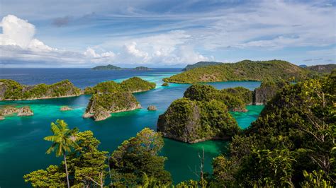 Raja Ampat Indonesia Exotic Tropics Islands Ocean Palm Trees Blue Sky