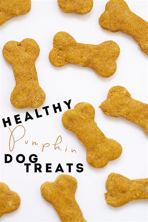 Healthy Pumpkin Dog Treats Food With Feeling Dog Cookies Recipe