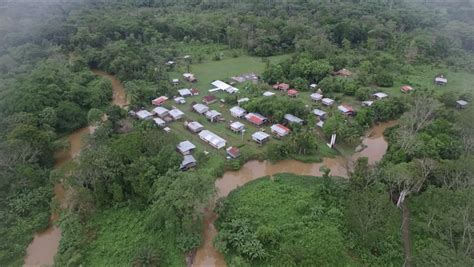 Panama Government Permits Rainforest Destruction In Abrupt Reversal