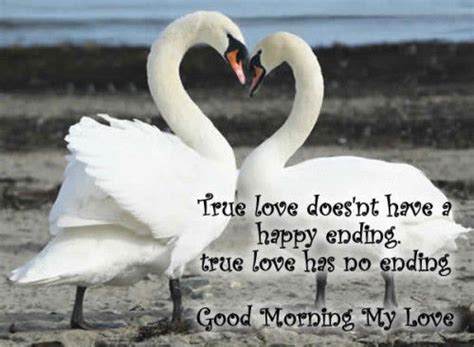 I know i'm safe with you always. Good Morning My Love Image Quote Pictures, Photos, and Images for Facebook, Tumblr, Pinterest ...