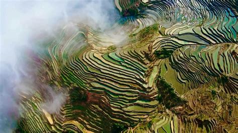 Best Time To See The Magical Hani Terraces In Sw Chinas Yunnan Cgtn