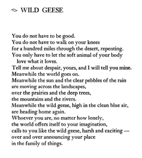 “wild Geese” From Dream Work By Mary Oliver May 1986 Broken Words