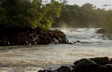 Beautiful Surinam Suriname Beach Méi Informatiounen Zu Eisem Site