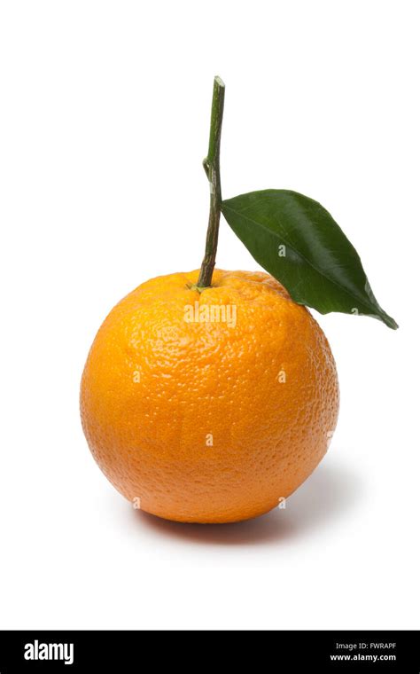 Single Whole Fresh Orange With A Leaf On White Background Stock Photo