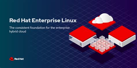 Red Hat Enterprise Linux 84 Se Centra En Introducir La Excelencia