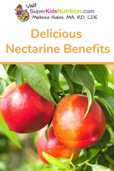Delicious Nectarine Benefits Nectarine Benefits Nectarine Nutrition