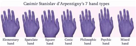 Casimir Stanislav Darpentignys 7 Hand Types Elementary Hand