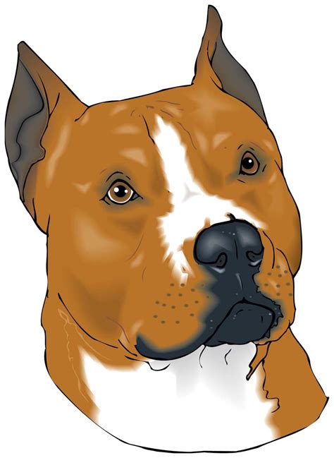 Bull Terrier Cartoon Drawing Pitbull Puppy Svg Download Pitbull