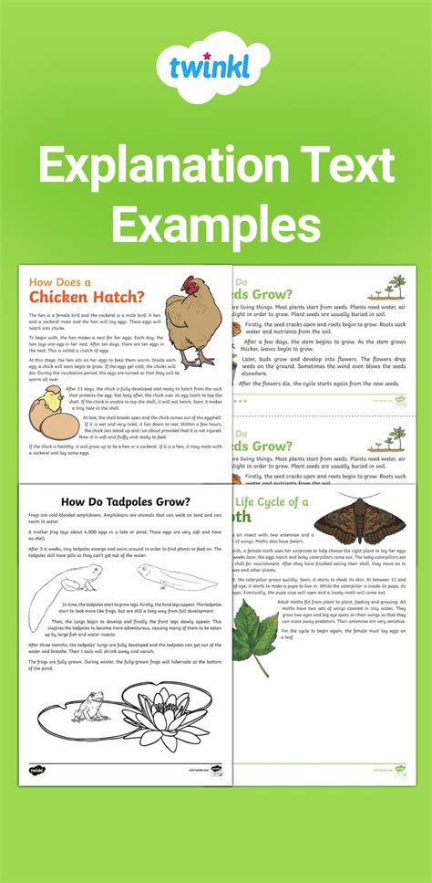 Boost Learning With Engaging Text Examples