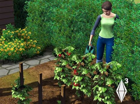 We did not find results for: Gardening (The Sims 3) | The Sims Wiki | FANDOM powered by Wikia