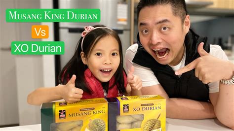 Taste of musang king grade a flesh : Tasting Frozen Durian | MUSANG KING DURIAN vs XO DURIAN ...