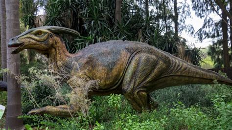 Su desaparición fue parte de una de las grandes extinciones del planeta. Este no es el "el primer dinosaurio clonado por los chinos ...