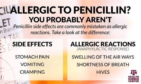 Allergic To Penicillin You Probably Arent Vital Record