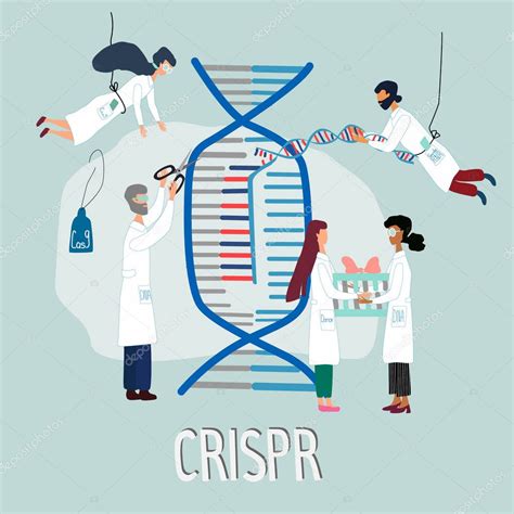 Los científicos ilustraron cómo funciona CRISPR CAS Investigación de herramientas de edición