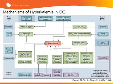 Evaluation And Management Of Hyperkalemia This Presentation Was