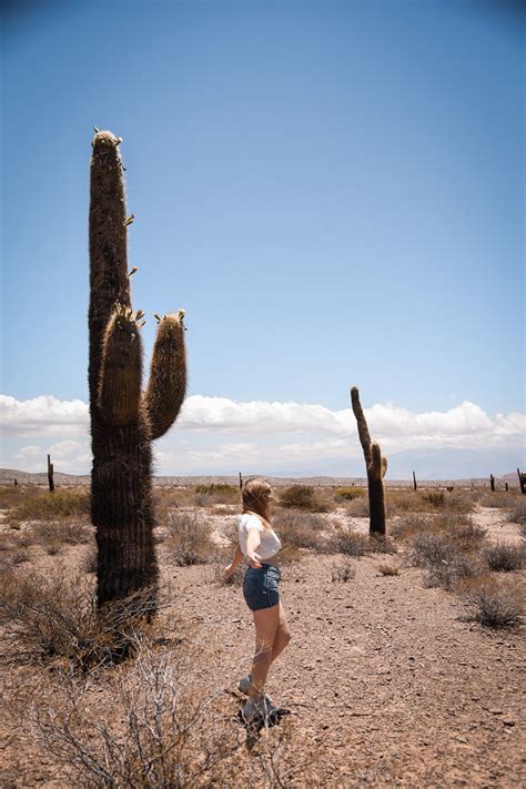 Comparez tous les loueurs de salta (ar) pour trouver la meilleure offre ! Voyage de 3 semaines en Argentine - La Valise à Fleurs ...