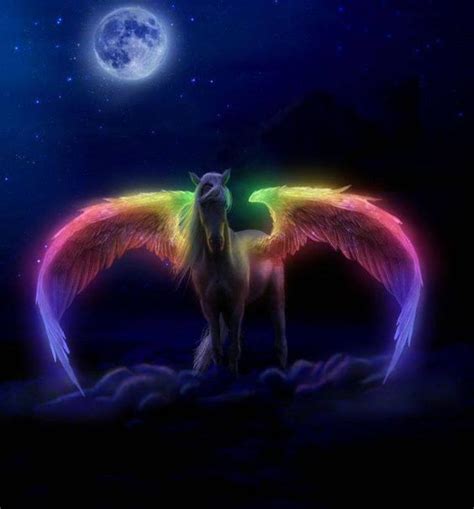 Rainbow Pegasus Image Abyss