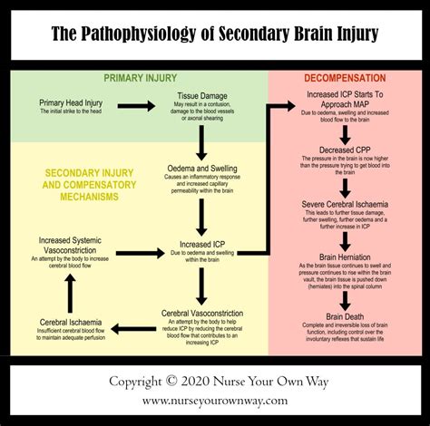 Pathophysiology Of Brain Injury
