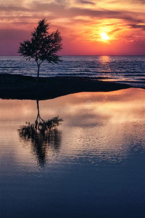 Lakeshore Sunset Silhouette At Lake Superior Stock Image Image Of