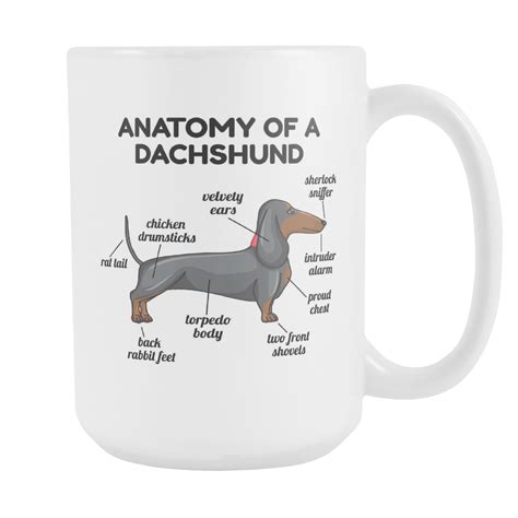 Dachshund Anatomy Mug Doxie Wiener Dog Great Funny T For Daschund