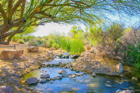 Exploring Arizonas Amazing Waterworlds Arizona Waterfacts