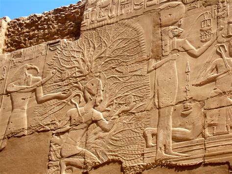 Tree Of Life Carving At Karnak Temple Hugo King Flickr