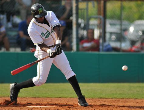 Bat De Béisbol Medidas Y Todo Lo Que Usted Debe Saber