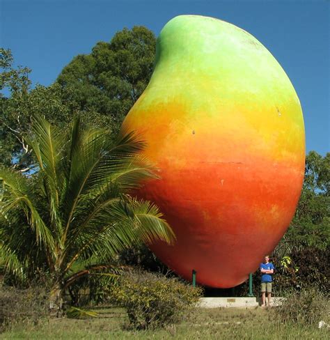 Filebig Mango Wikimedia Commons