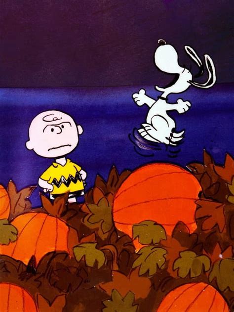 Tv Tonight Its The Great Pumpkin Charlie Brown