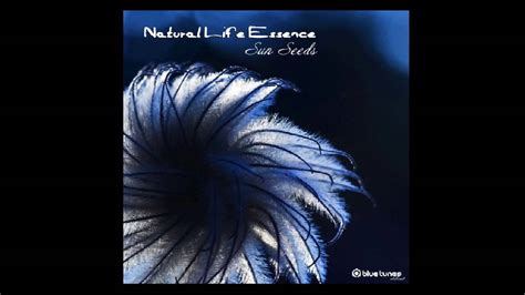 Natural Life Essence Magical Plant Hallucinogen Spores Mix Youtube