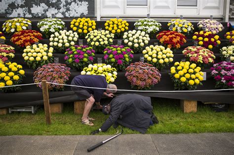 Photos Londons Chelsea Flower Show Hopes Youll Get In The Garden