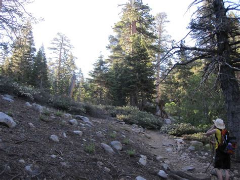 Guide To Hiking San Gorgonio Mountain Via The Vivian Creek Trailhead