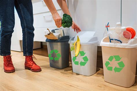 All You Need To Know About Recycling At Home And The Office