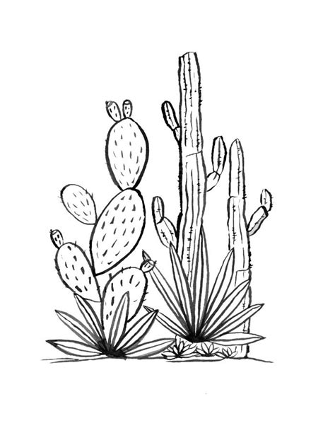 Cactus Grove Art Print By The Dancing Pine Society6 Cactus Art