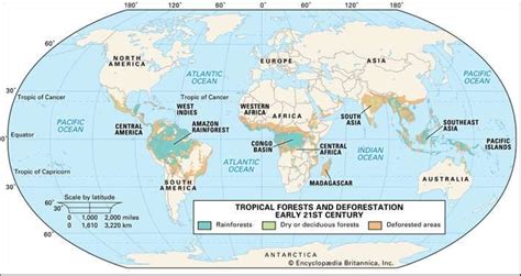 Rainforest Definition Plants Map And Facts In 2021 Rainforest