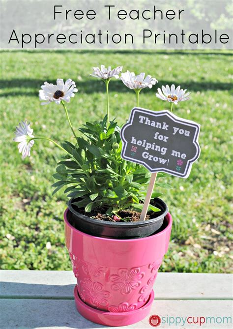 Thank You For Helping Me Grow Printable Teacher Appreciation Gifts Sippy Cup Mom